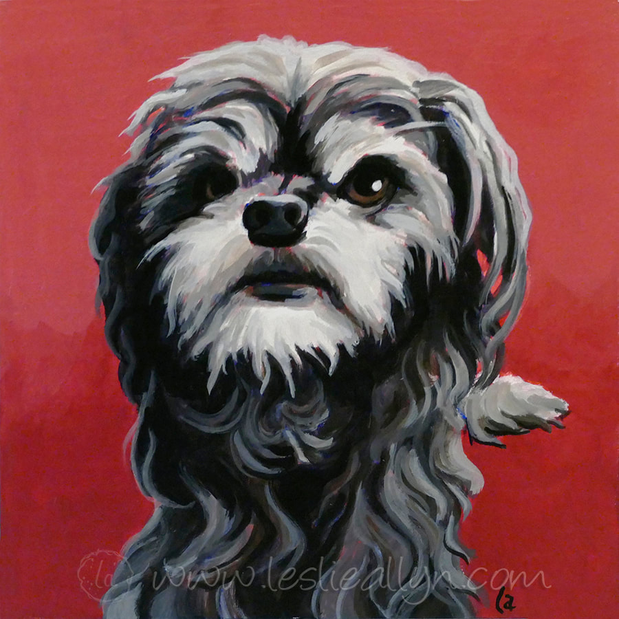 Senior dog portrait by Leslie Allyn